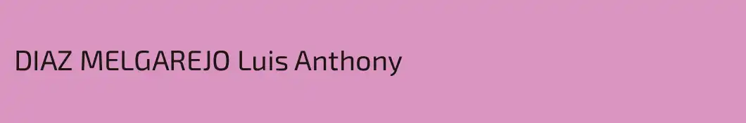 DIAZ MELGAREJO Luis Anthony